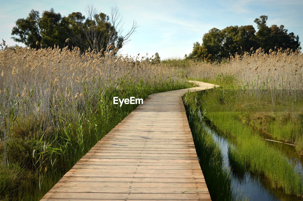 Boardwalk amidst plants on field against sky