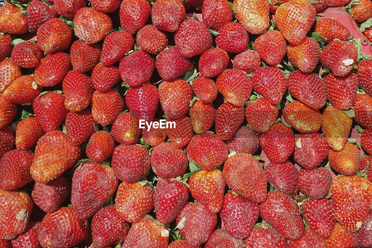 HIGH ANGLE VIEW OF STRAWBERRIES
