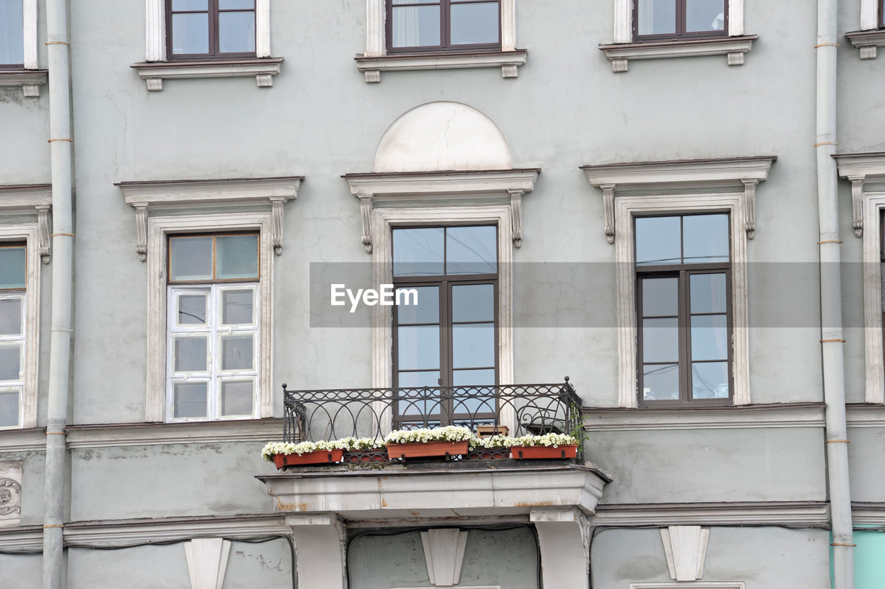 LOW ANGLE VIEW OF POTTED PLANTS ON BUILDING