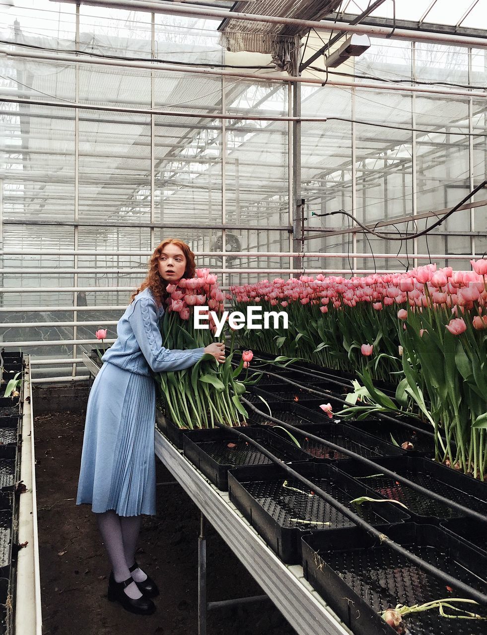 WOMAN STANDING IN A GREENHOUSE