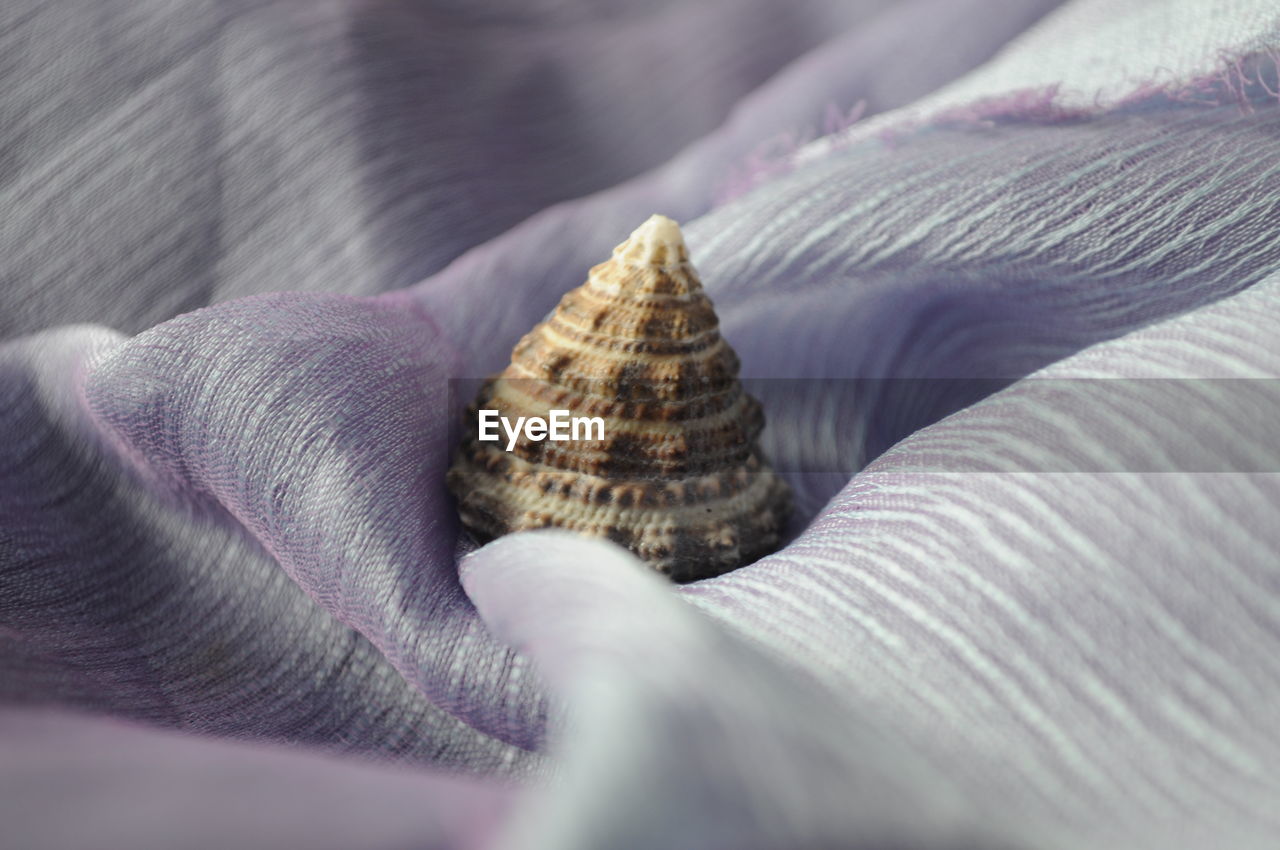 Close-up of seashell wrapped in purple cloth