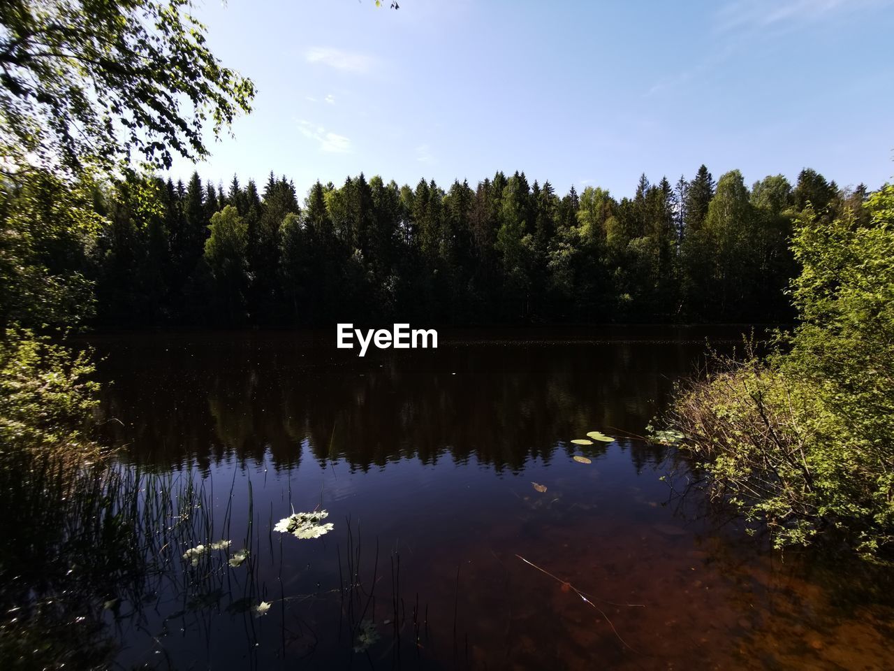 SCENIC VIEW OF LAKE BY TREES AGAINST SKY