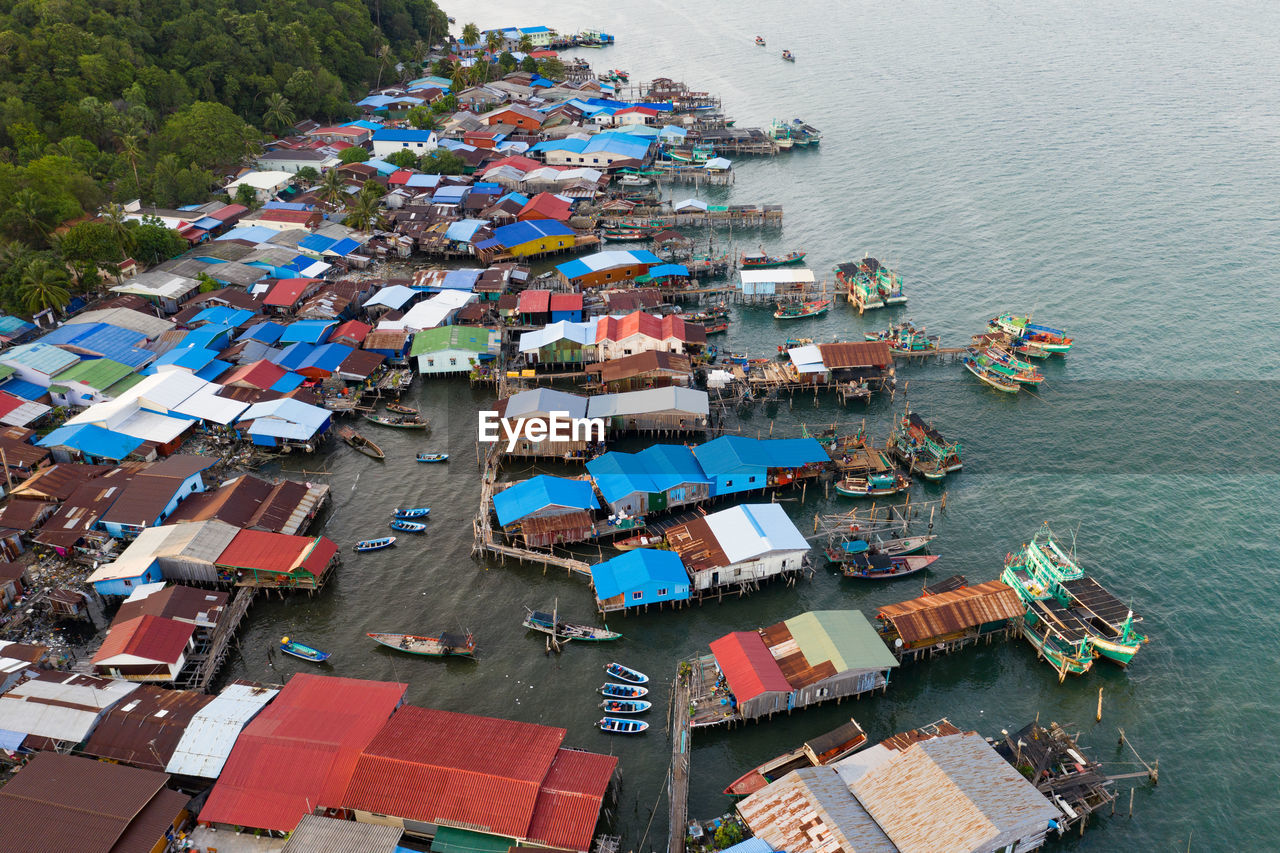 High angle view of plants by sea