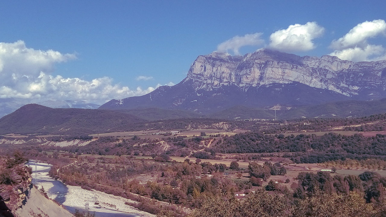 AERIAL VIEW OF LANDSCAPE
