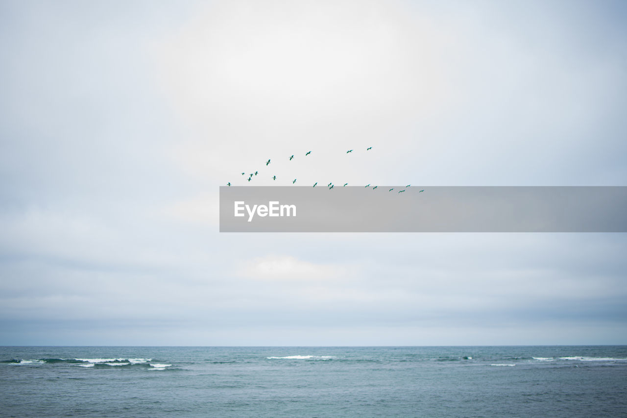 Birds flying over sea against sky