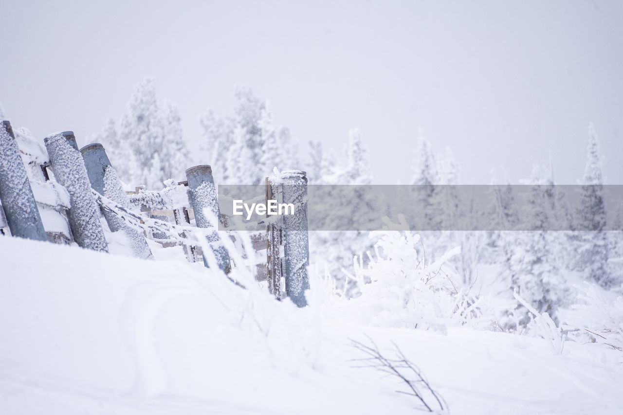 snow, winter, cold temperature, tree, nature, environment, scenics - nature, landscape, forest, beauty in nature, land, plant, piste, mountain, tranquil scene, white, frozen, pine tree, sky, tranquility, coniferous tree, woodland, non-urban scene, mountain range, pine woodland, no people, travel, holiday, panoramic, snowing, pinaceae, blizzard, travel destinations, outdoors, fog, copy space, day, architecture, footwear, winter storm, polar climate, freezing, vacation, ski equipment, ice, idyllic, trip, storm