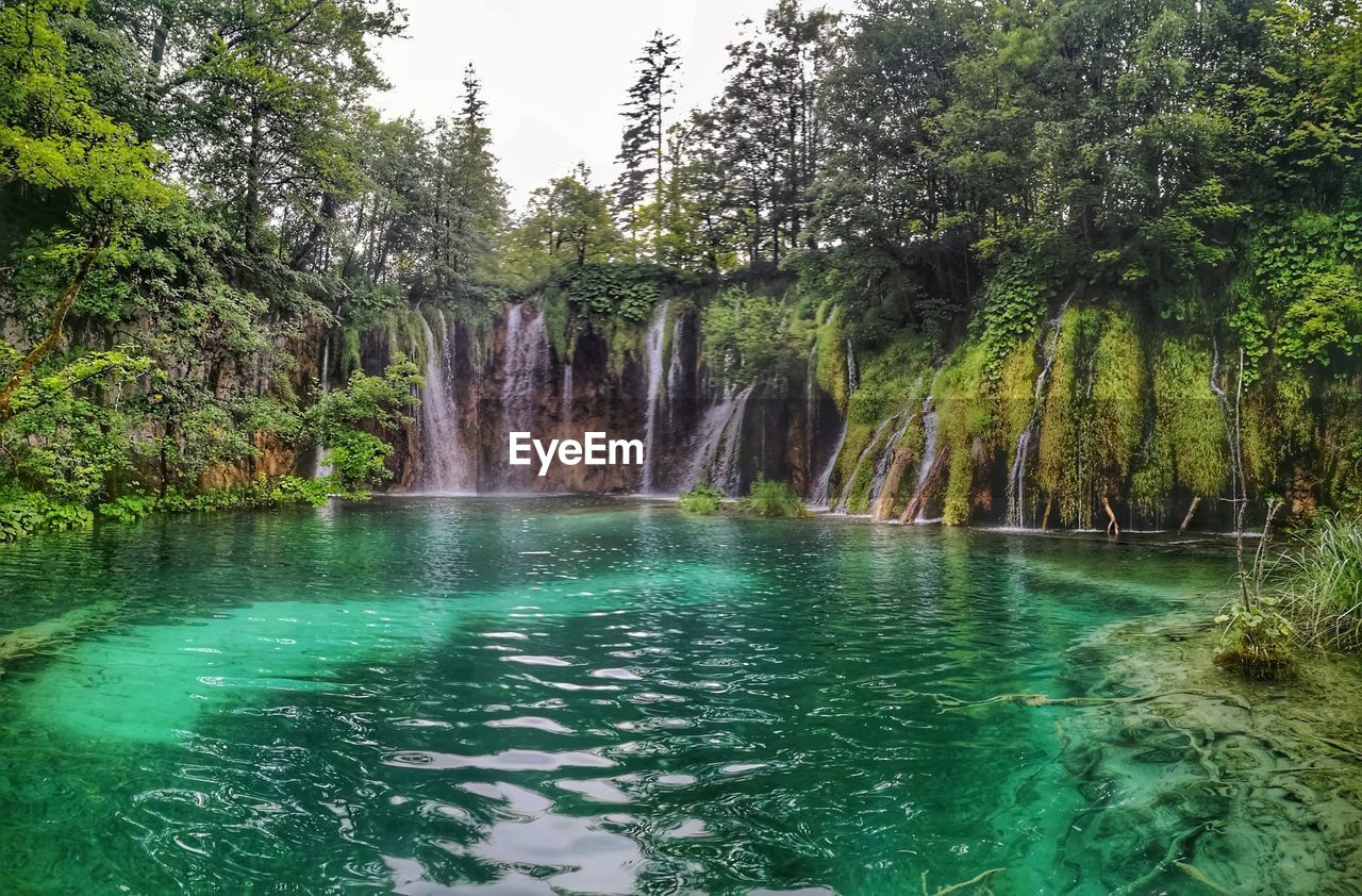 VIEW OF WATERFALL IN FOREST