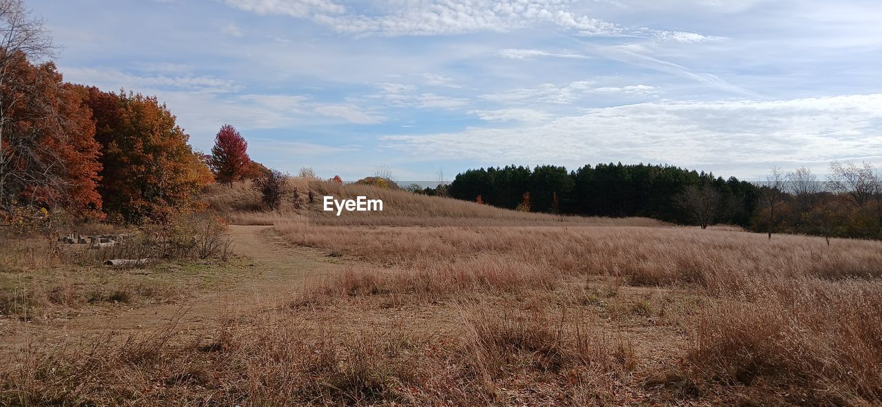 wilderness, plant, tree, landscape, sky, environment, land, nature, cloud, scenics - nature, natural environment, mountain, beauty in nature, grass, prairie, no people, tranquility, autumn, non-urban scene, ridge, forest, rural area, tranquil scene, outdoors, field, pinaceae, coniferous tree, rural scene, growth, day, travel, travel destinations, grassland, pine tree, pine woodland, plateau, remote