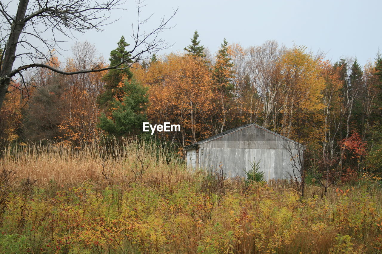 House amidst trees on grassy field