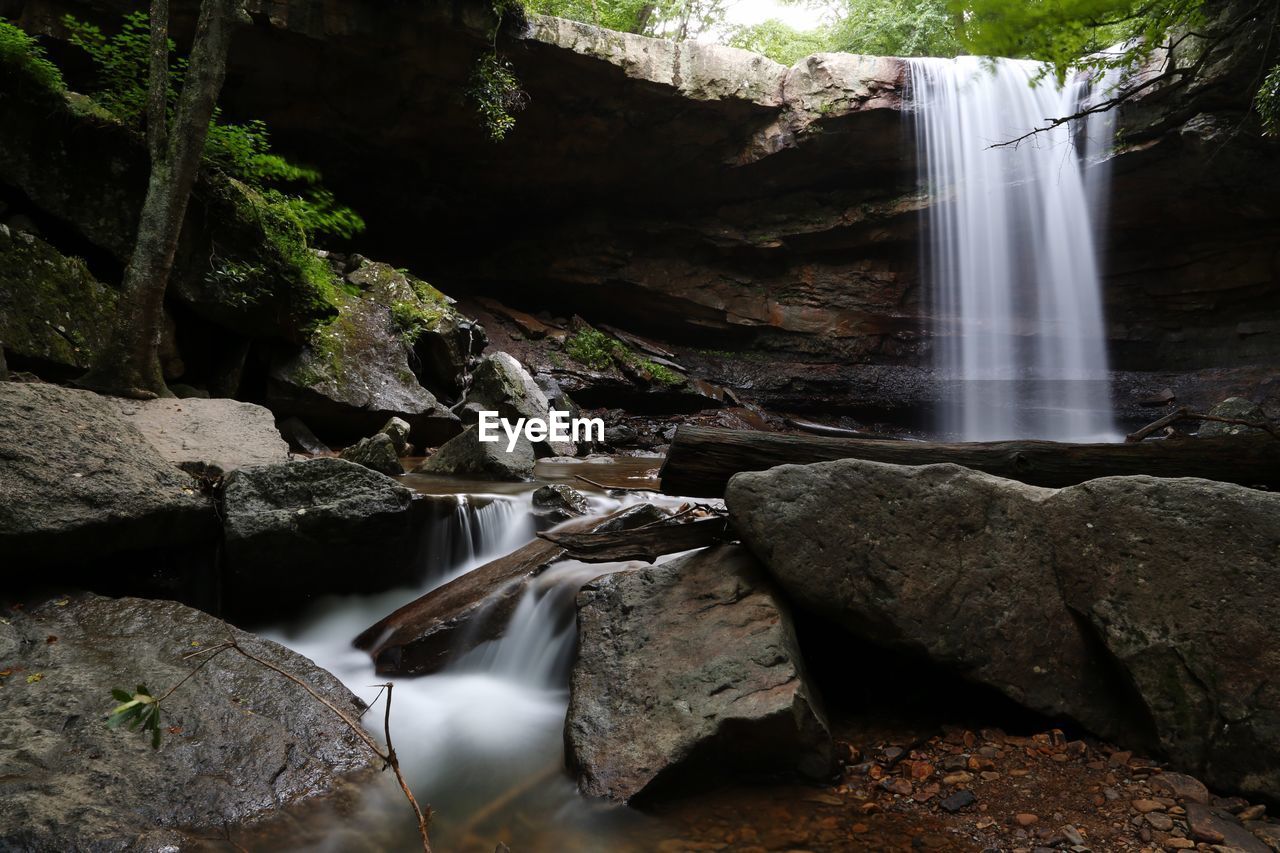 View of waterfall in forest