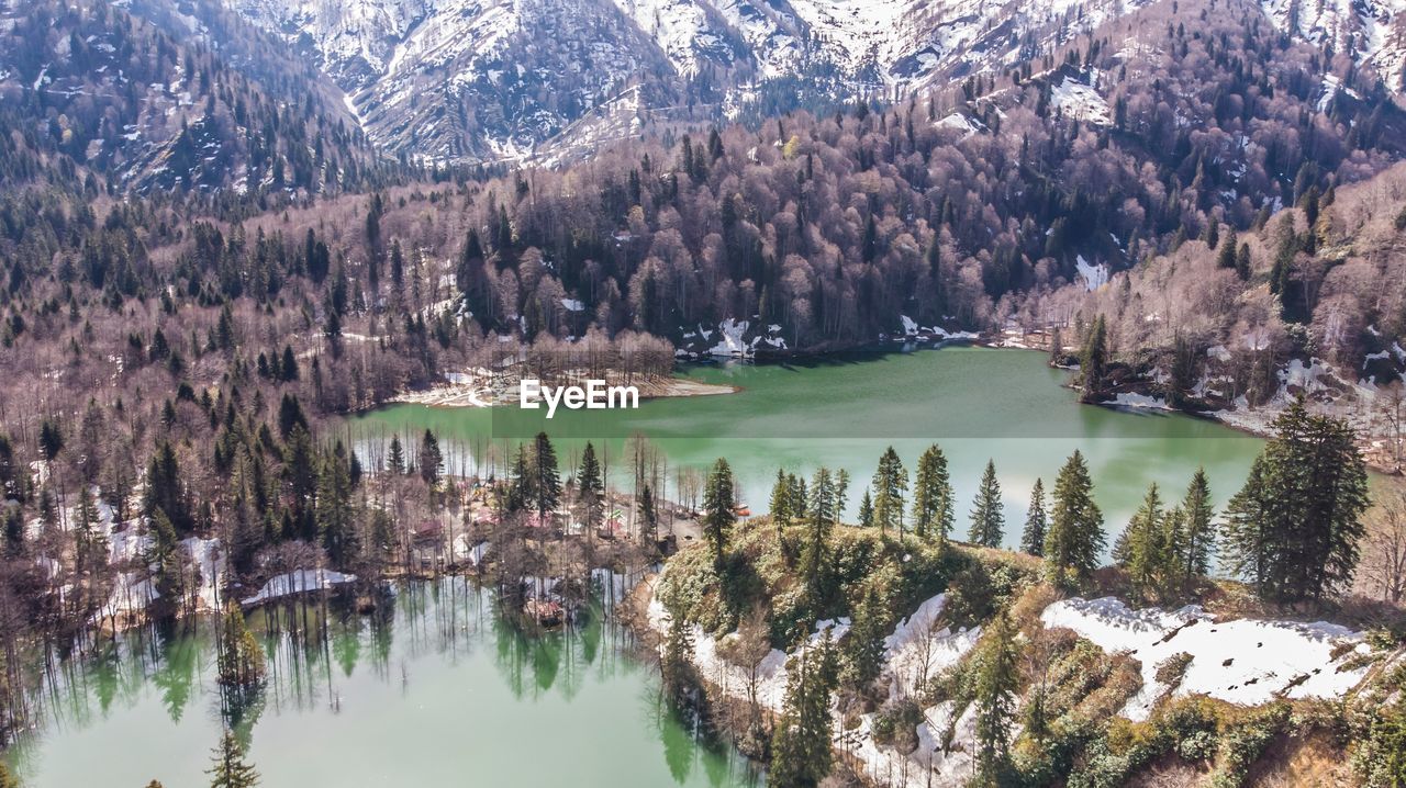 Aerial view of lake amidst trees
