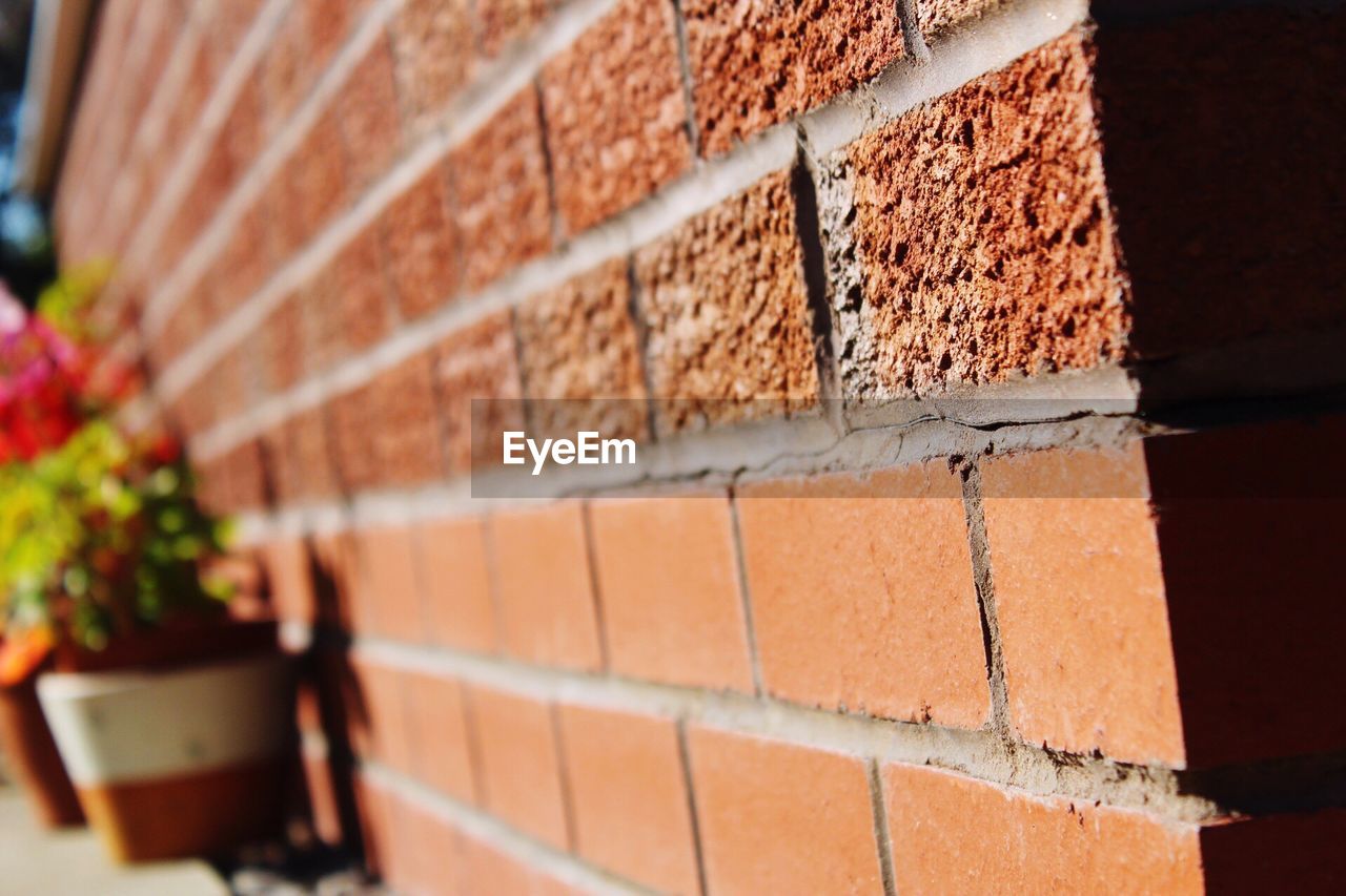 CLOSE-UP OF BRICK WALL WITH RED LEAVES