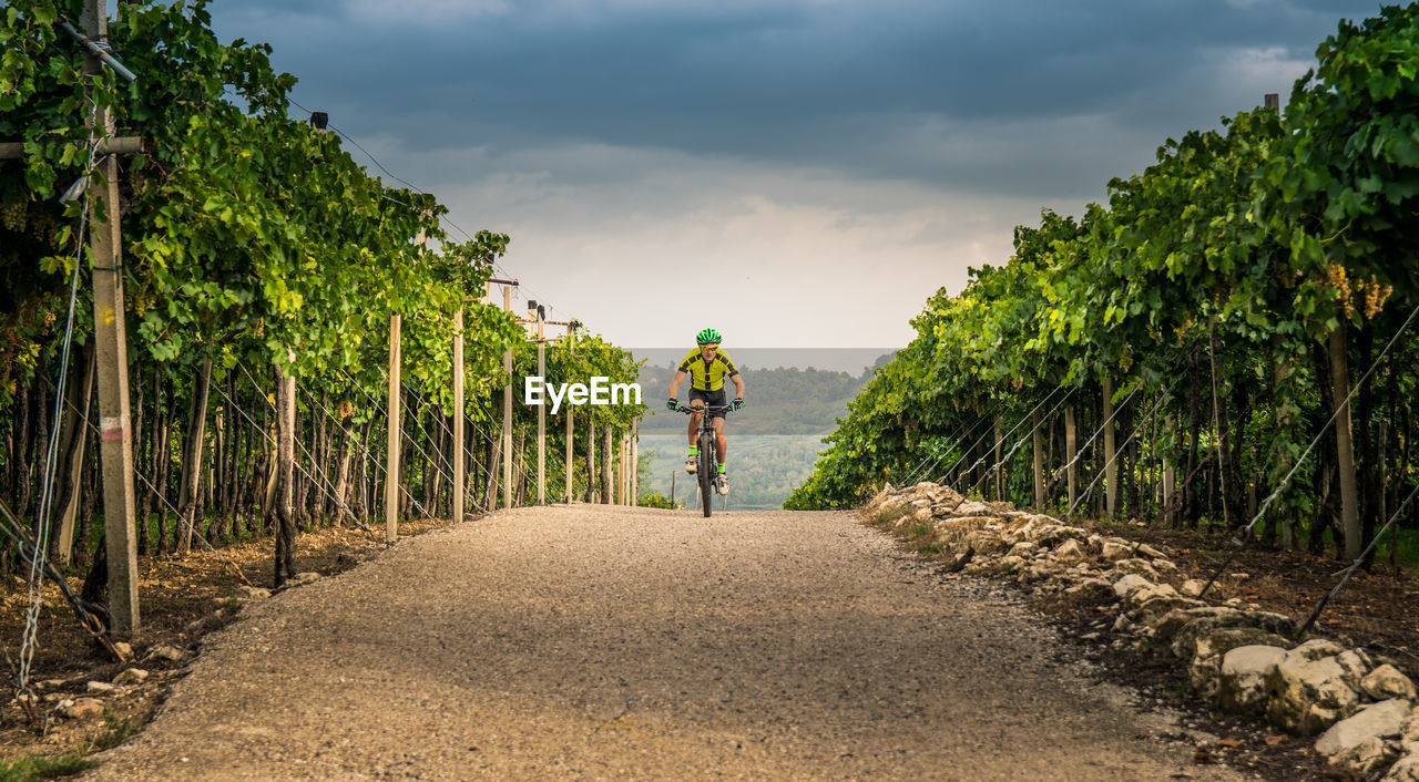 REAR VIEW OF MAN CYCLING ON ROAD AMIDST TREES