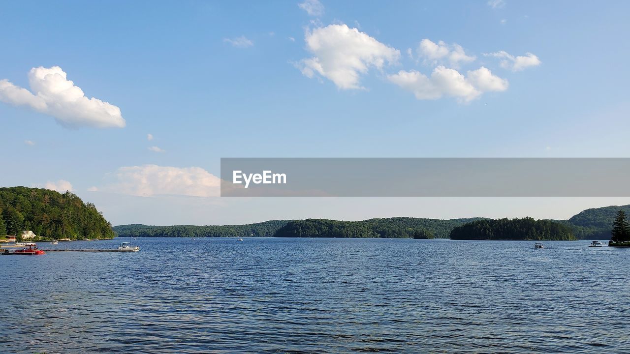 SCENIC VIEW OF LAKE BY TREE AGAINST SKY