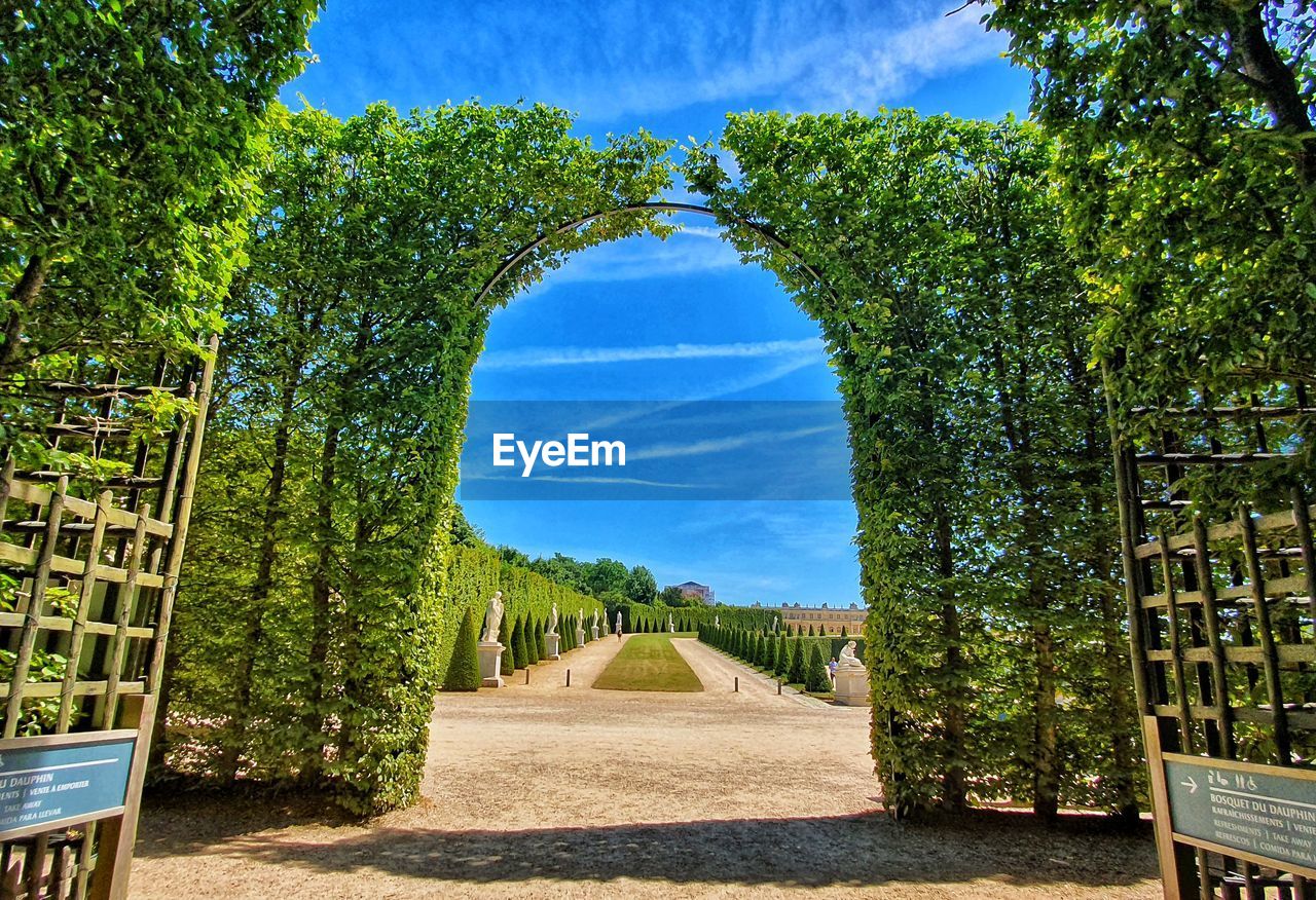 TREES AND PLANTS AGAINST SKY