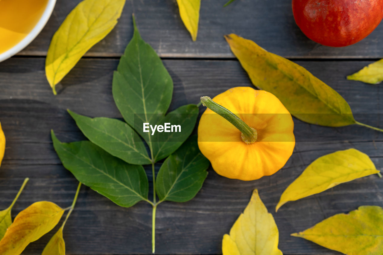 Top view of colorful leaves and pumpkin on wooden table