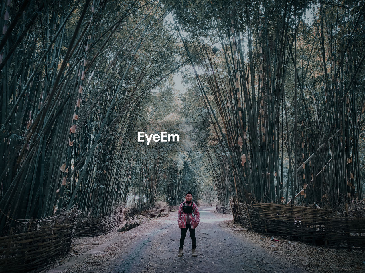 Rear view of woman walking on walkway in forest