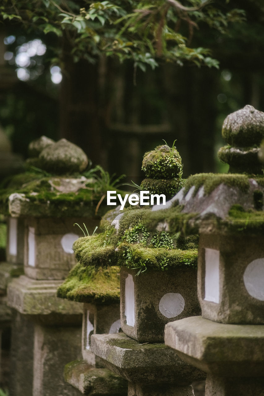 green, plant, tree, nature, no people, garden, japanese garden, religion, outdoors, architecture, flower, formal garden, day, stone material, moss, culture, spirituality, growth, water, sculpture, belief
