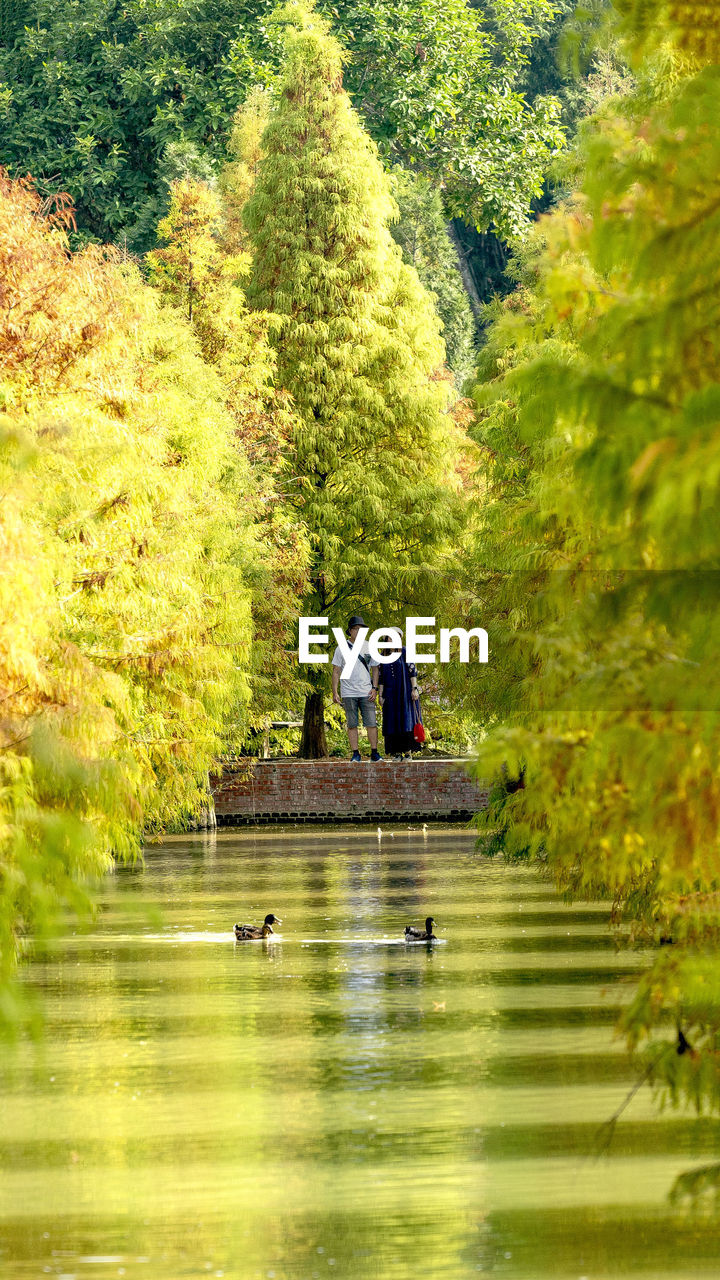 People in a lake