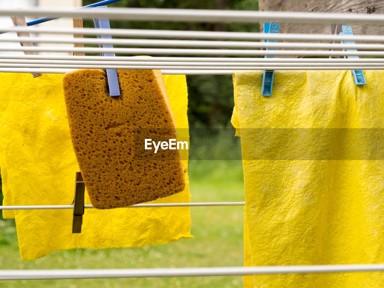 Close-up of napkins and sponge hanging on clothesline