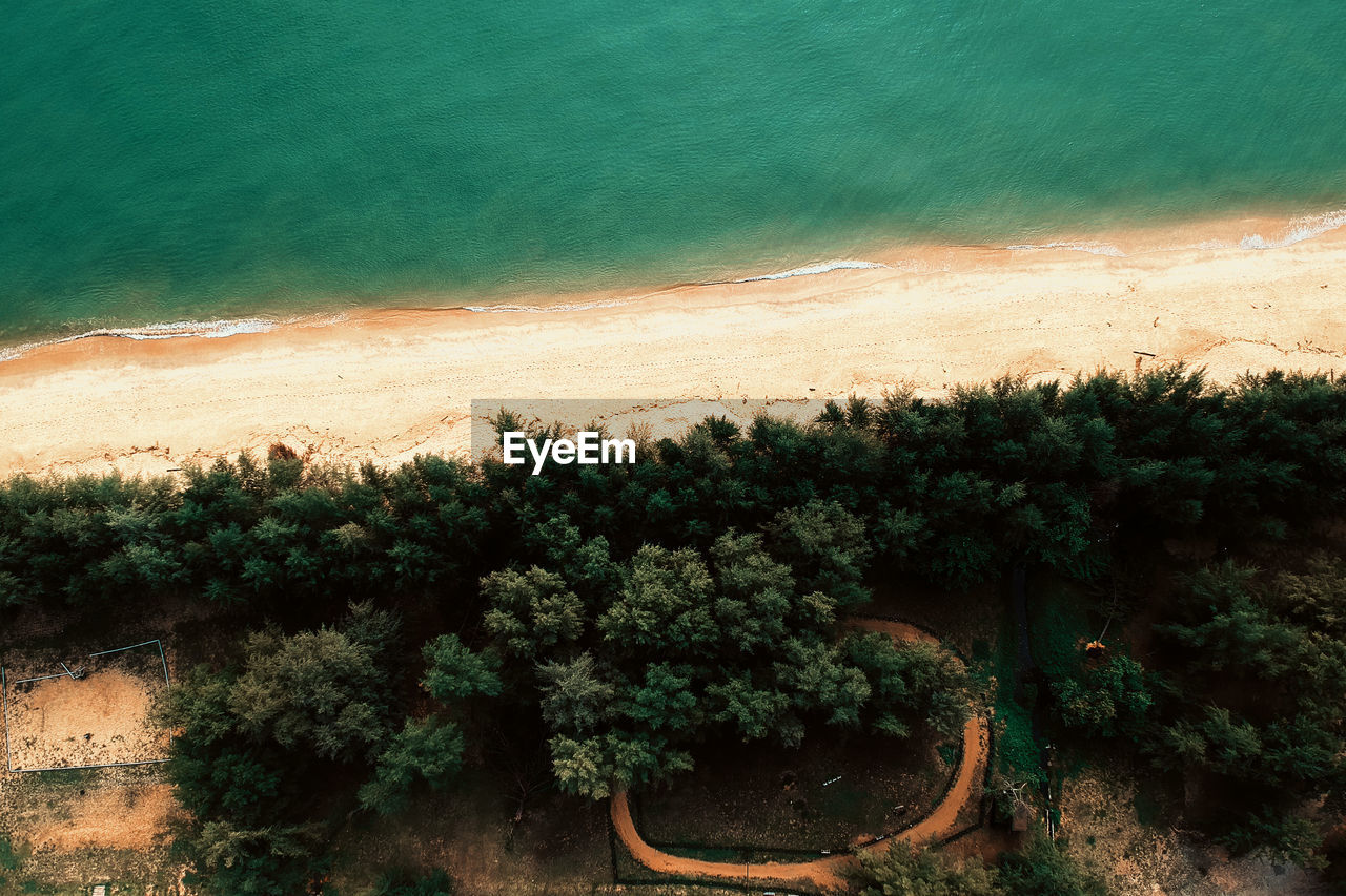 High angle view of trees by sea