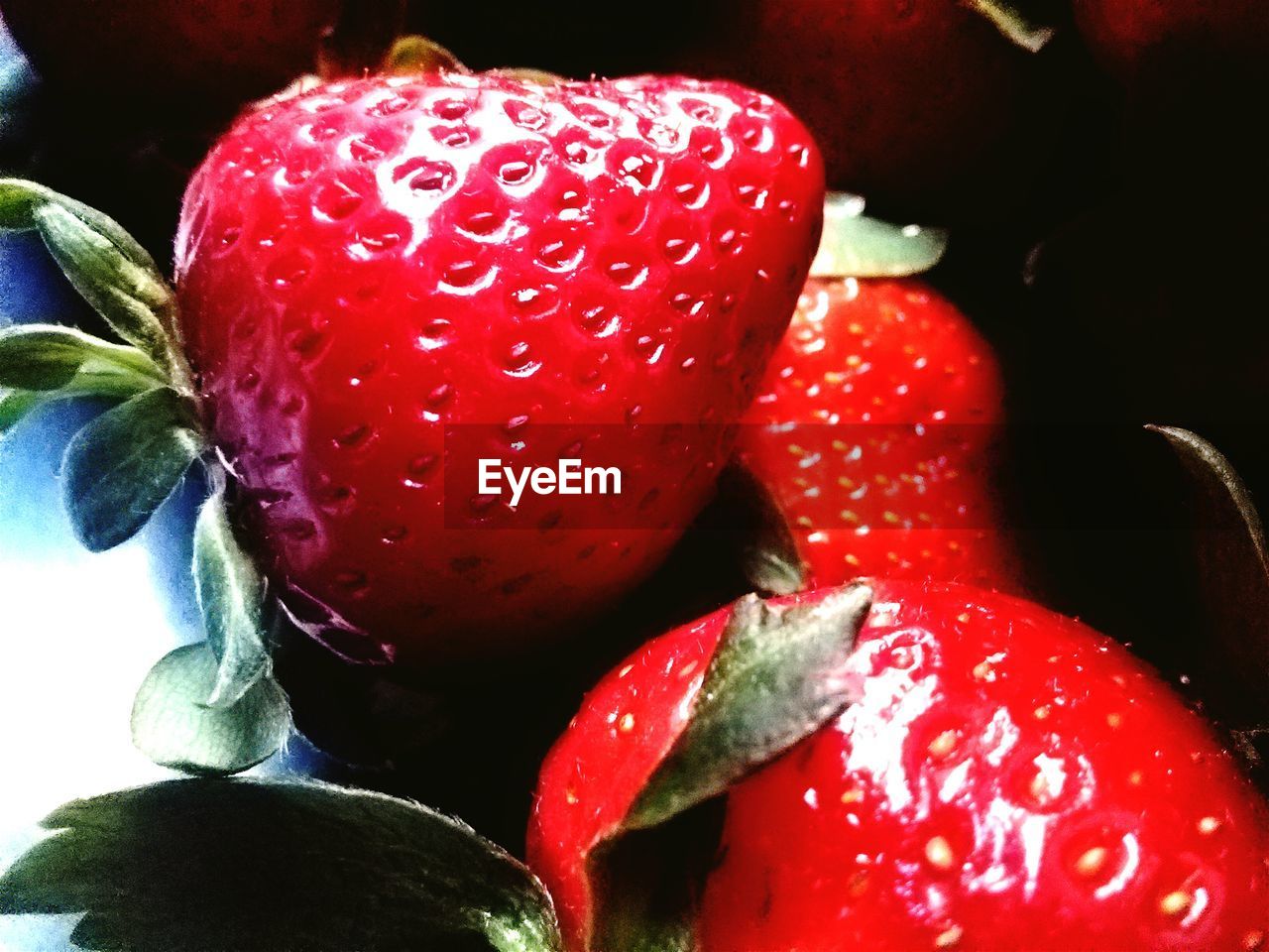 CLOSE-UP OF STRAWBERRIES ON RED TABLE