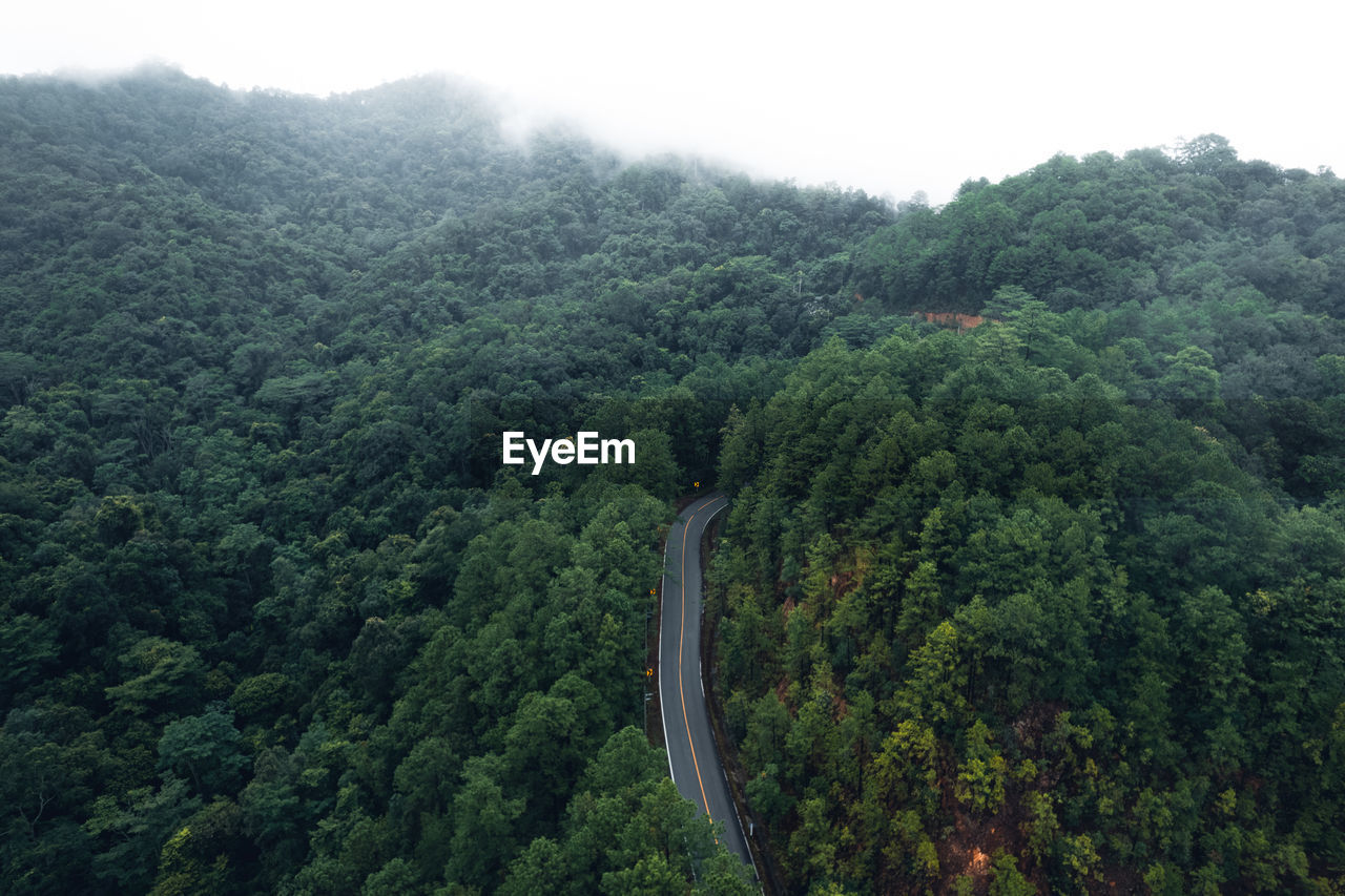 Scenic view of forest against sky