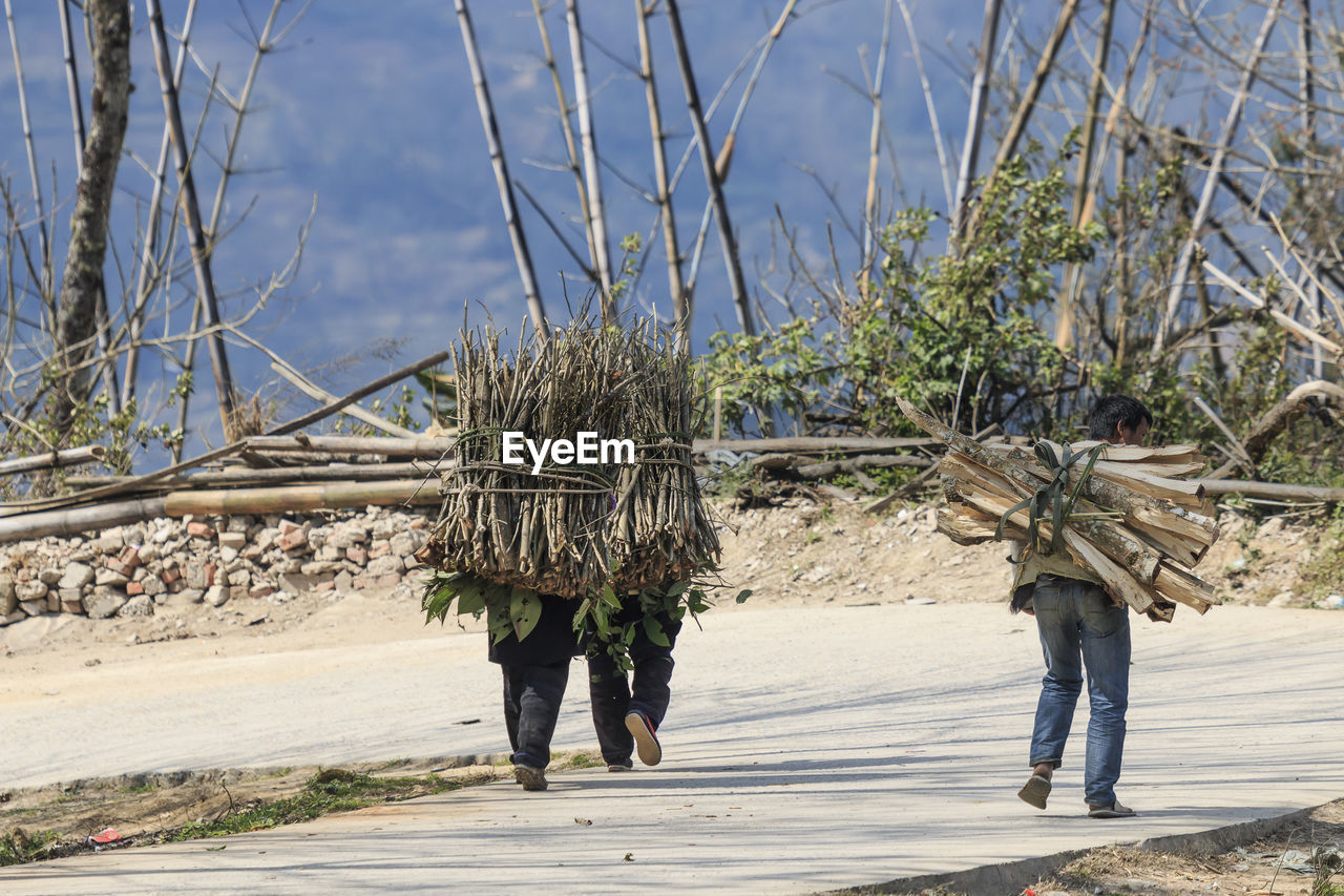 PEOPLE WORKING IN FARM