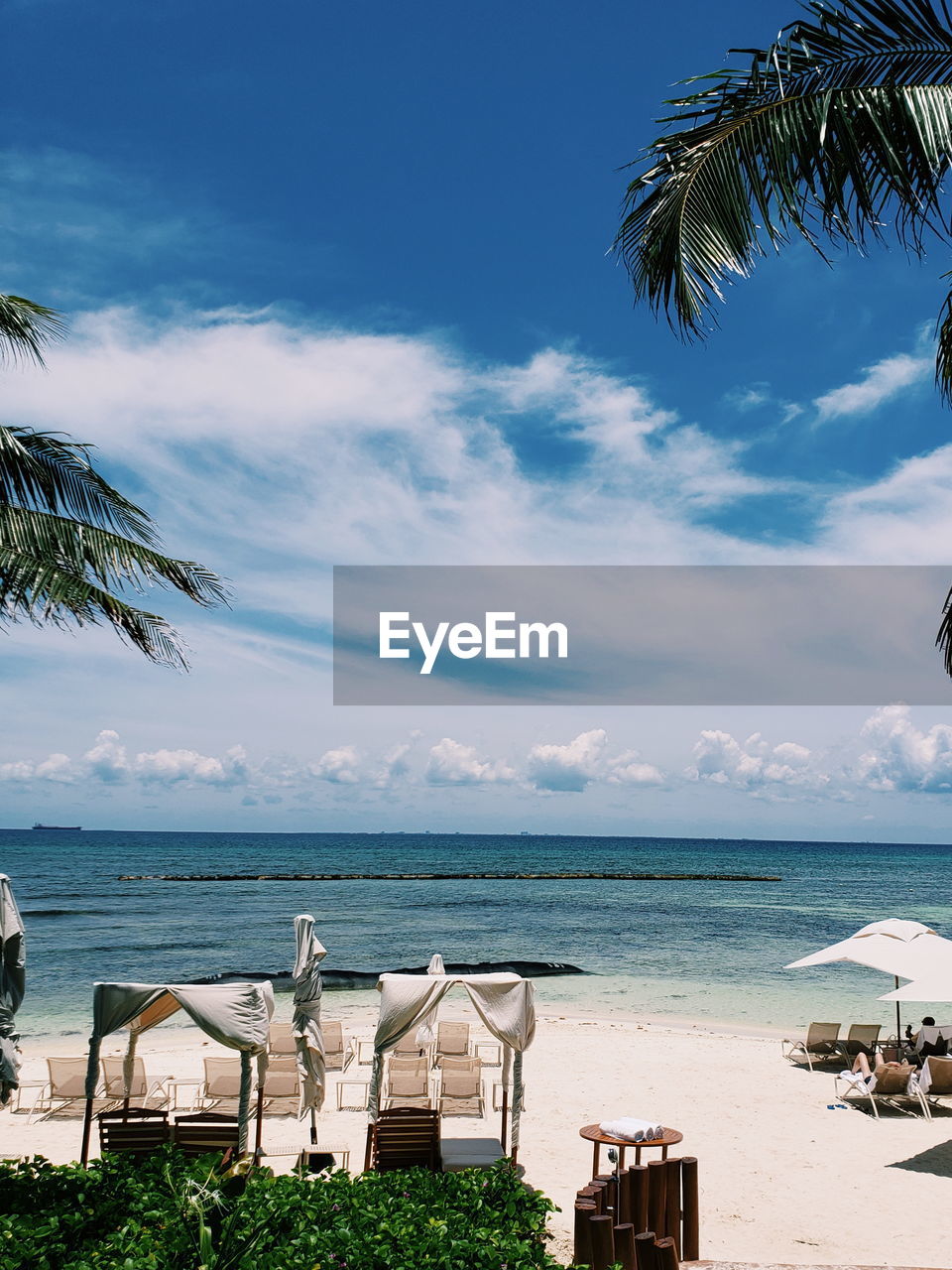 PALM TREES ON BEACH AGAINST SKY