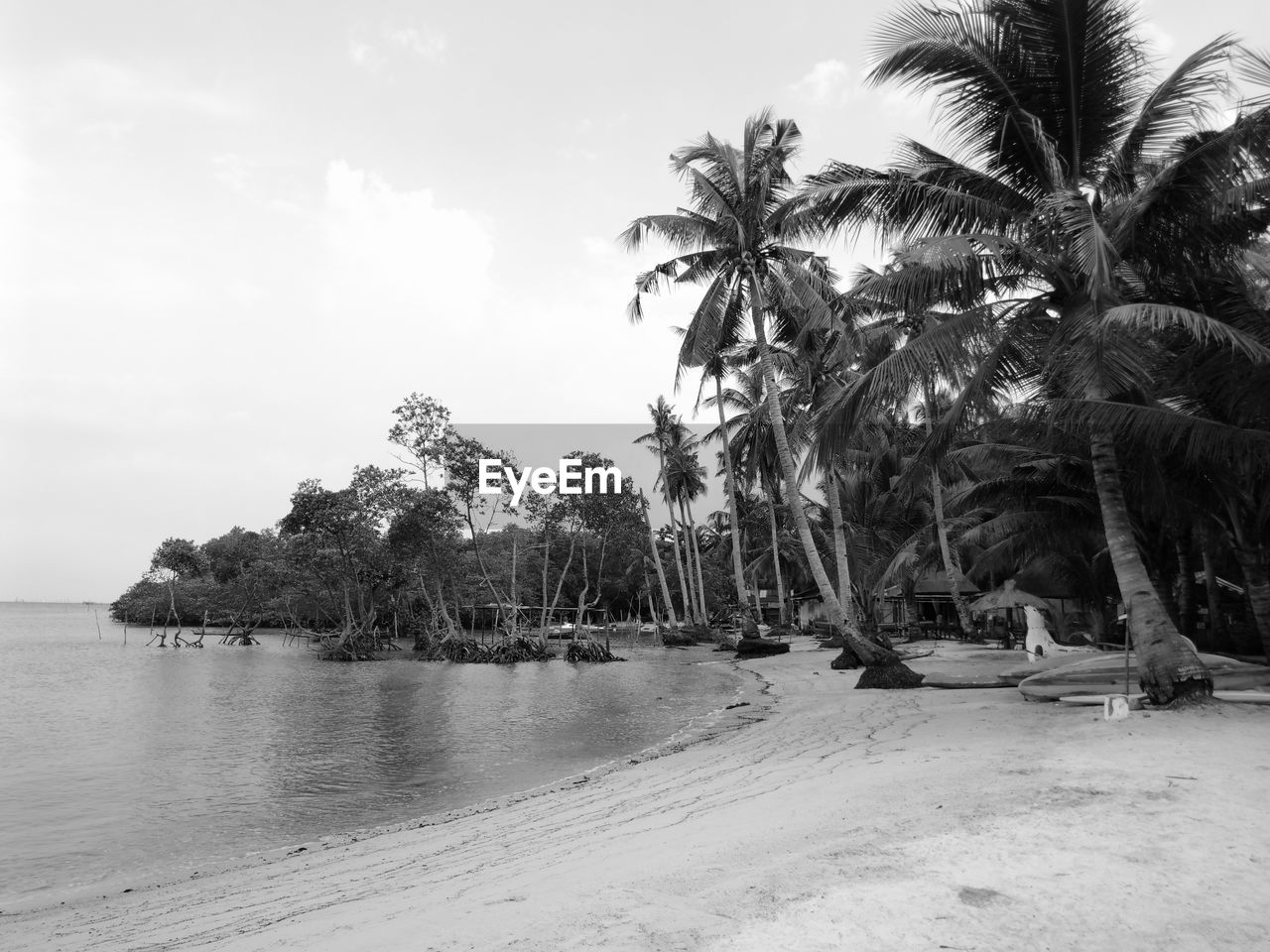 SCENIC VIEW OF PALM TREES AT BEACH AGAINST SKY