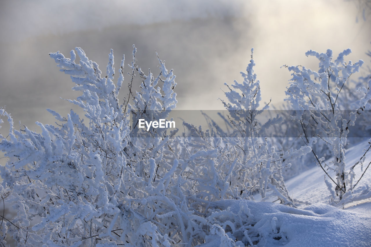 Frozen landscape against sky