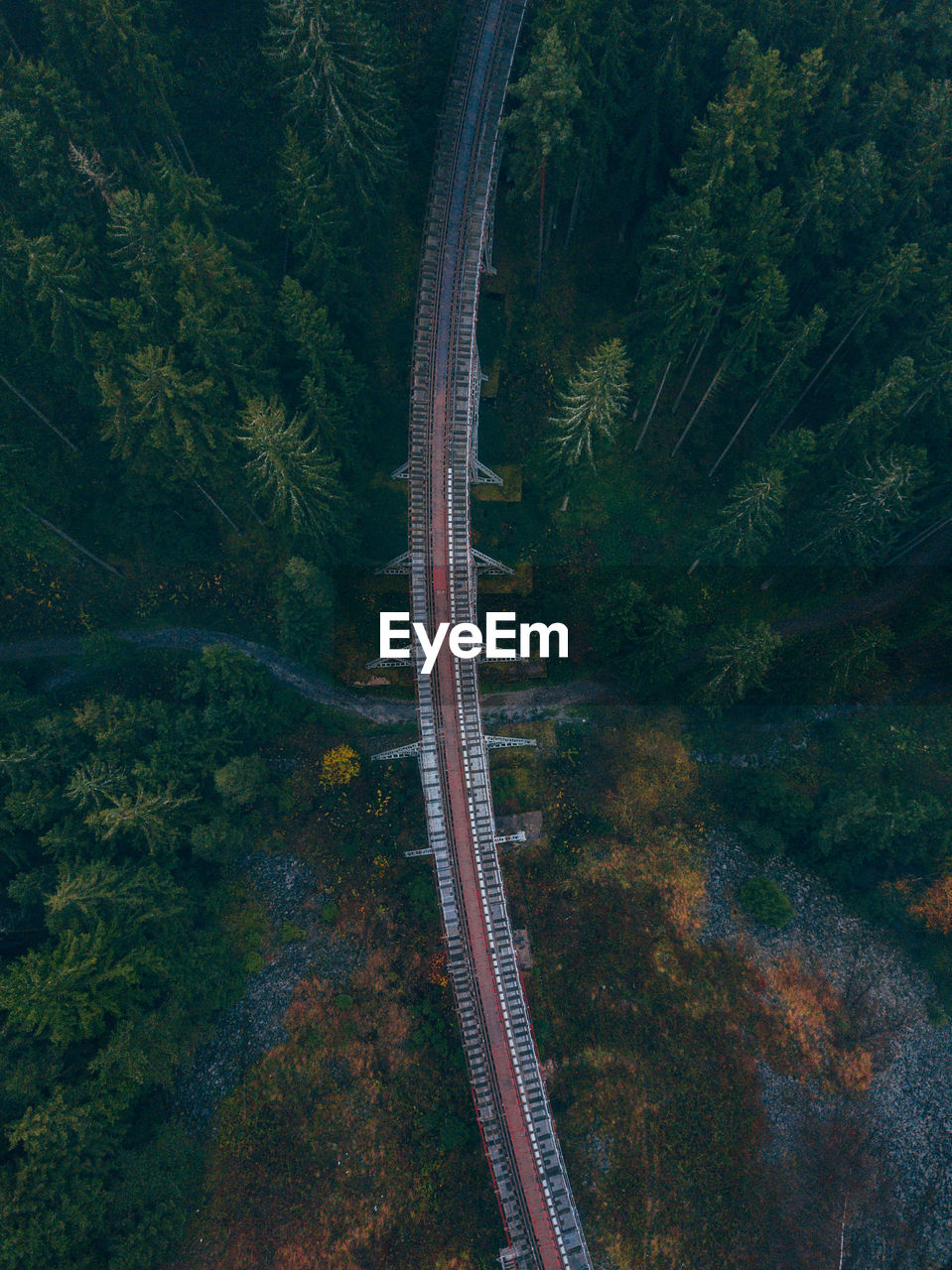 High angle view of bridge amidst forest