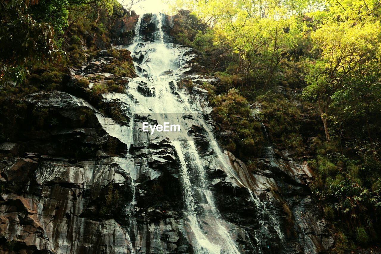 WATERFALL IN FOREST