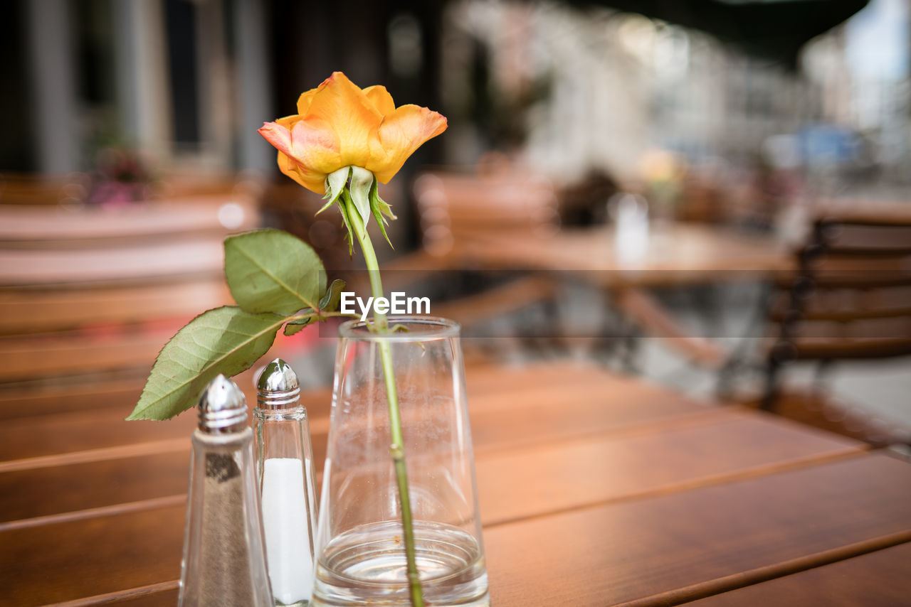 Vase mit rose in einem restaurant in berlin mitte