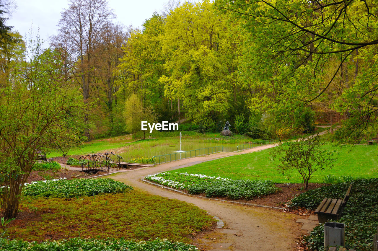 FOOTPATH IN PARK