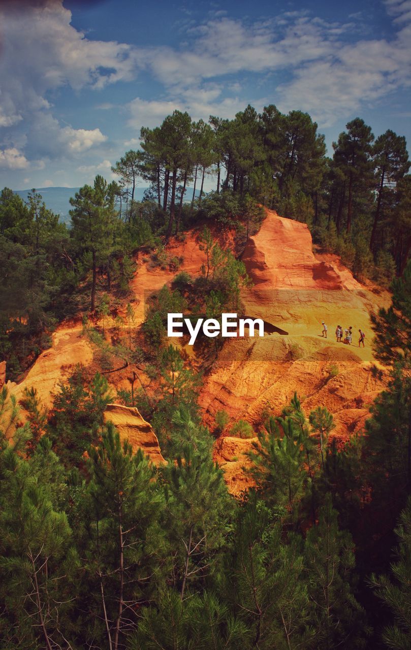 High angle view of trees and red rocks in forest against sky