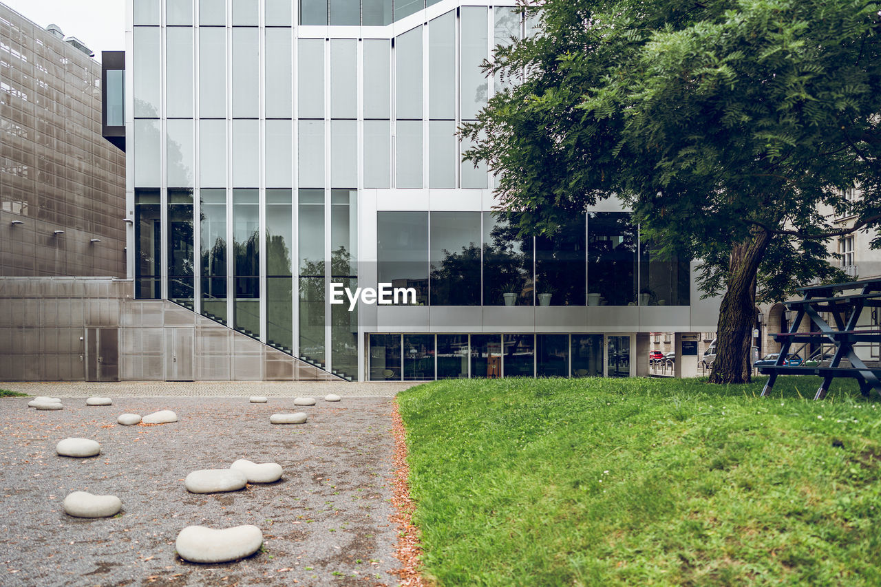 Trees growing on field by buildings in city