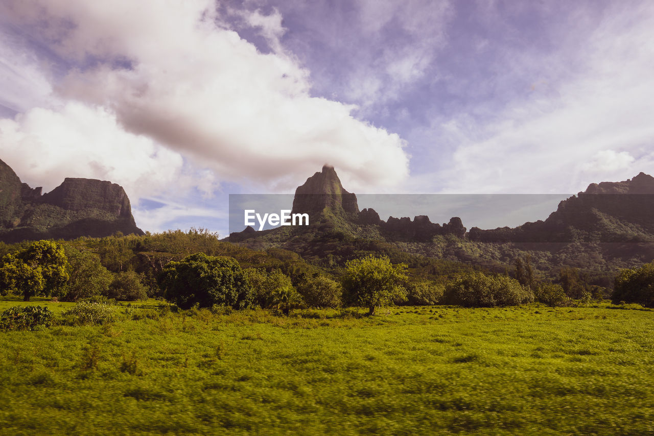 Scenic view of landscape against sky