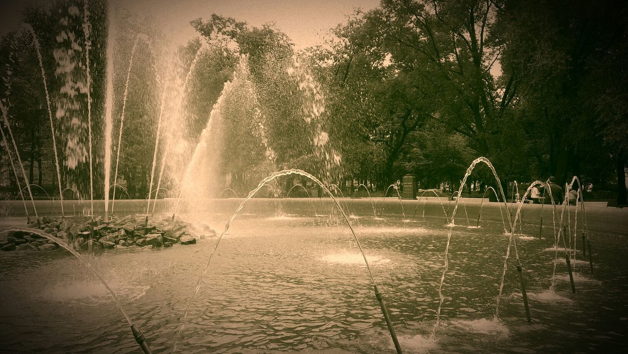 View of fountain against trees