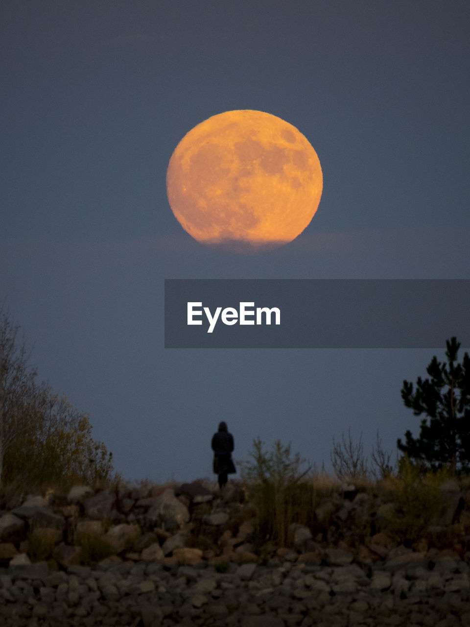 Rear view of person standing on field against moon in sky at night