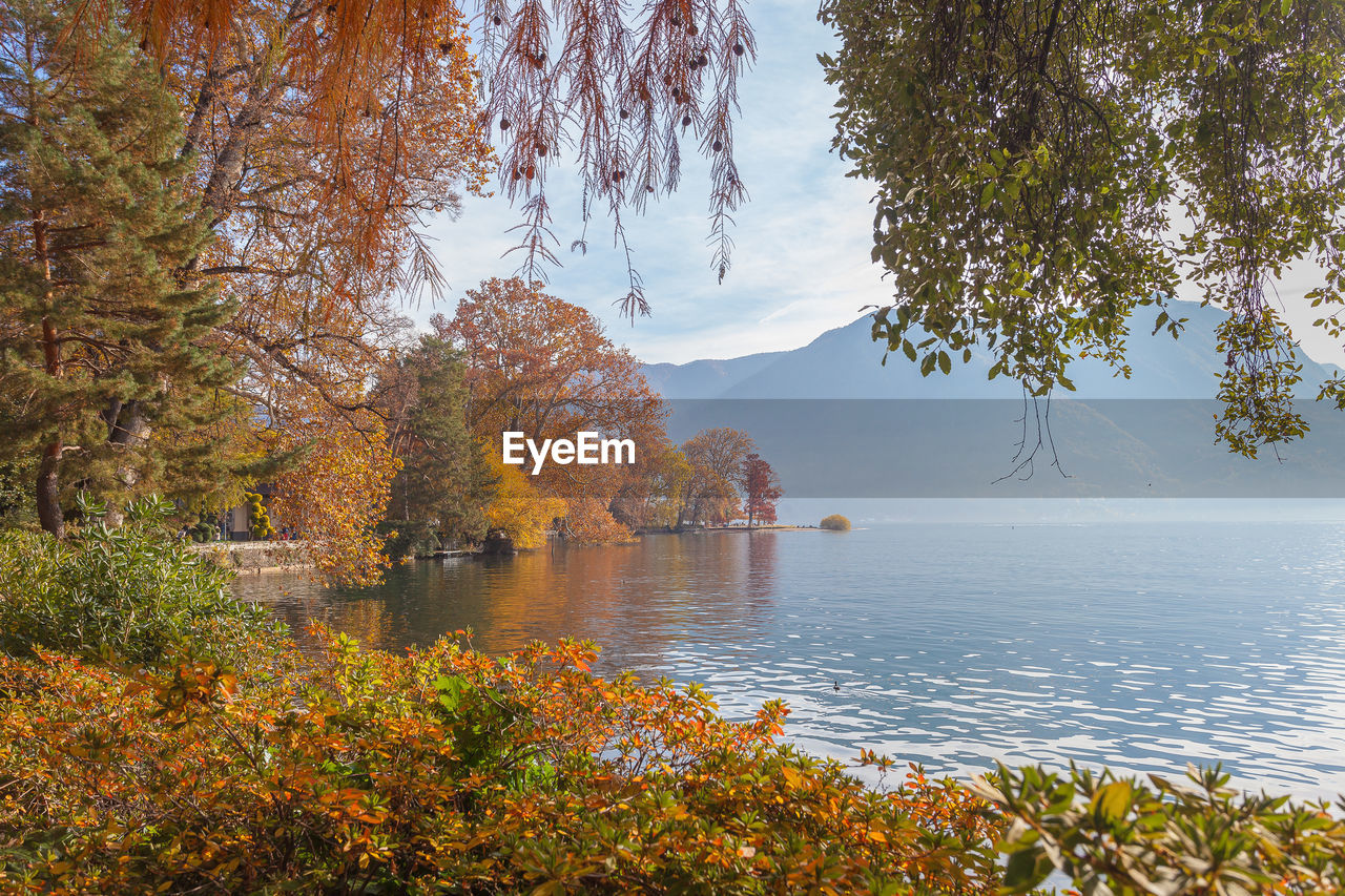 tree, water, autumn, plant, beauty in nature, nature, scenics - nature, leaf, tranquility, morning, sky, plant part, land, environment, lake, tranquil scene, landscape, no people, reflection, travel destinations, travel, forest, day, outdoors, idyllic, beach, non-urban scene, tourism, sunlight, branch, mountain, deciduous tree, cloud, pinaceae, fog, vacation, flower, wilderness, trip, orange color, body of water, social issues