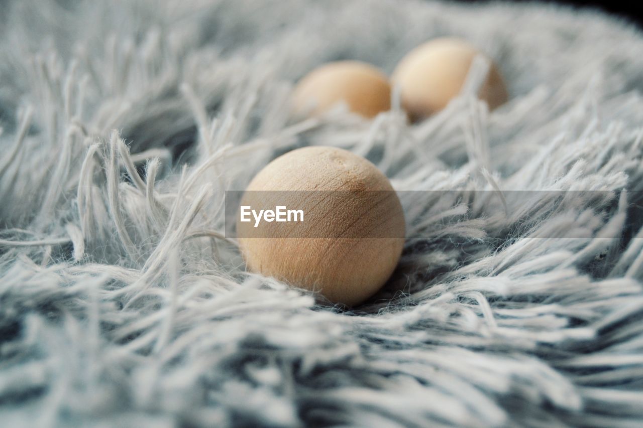 CLOSE-UP OF EGGS ON NEST