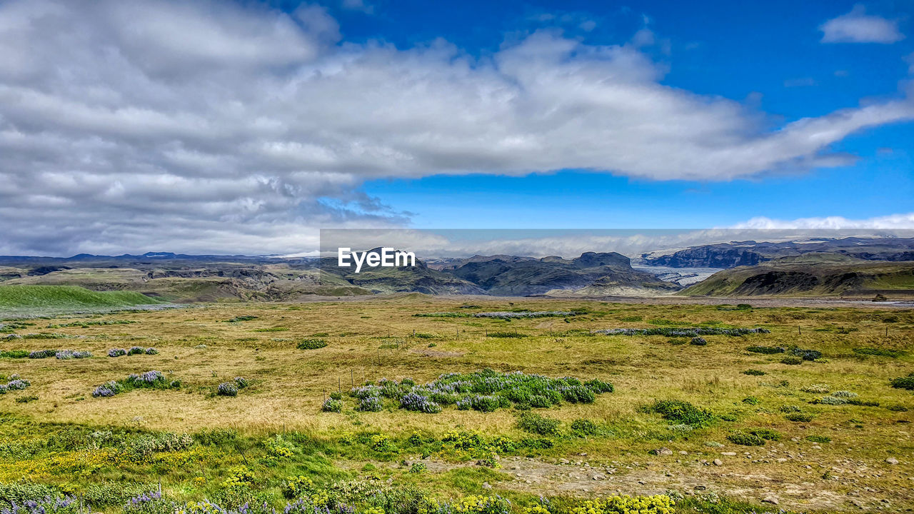 Scenic view of field against sky