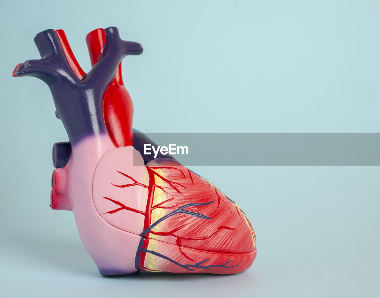 Close-up of heart model against blue background