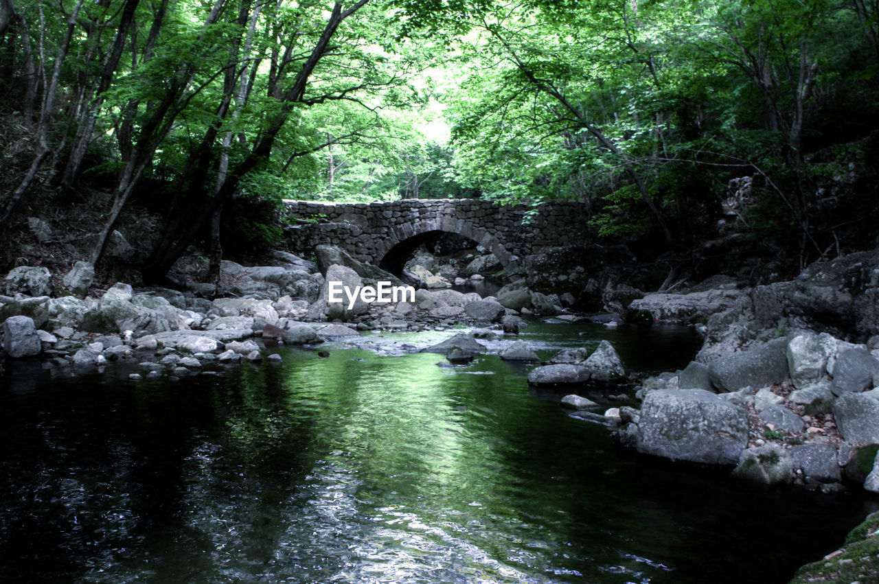BRIDGE OVER RIVER IN FOREST