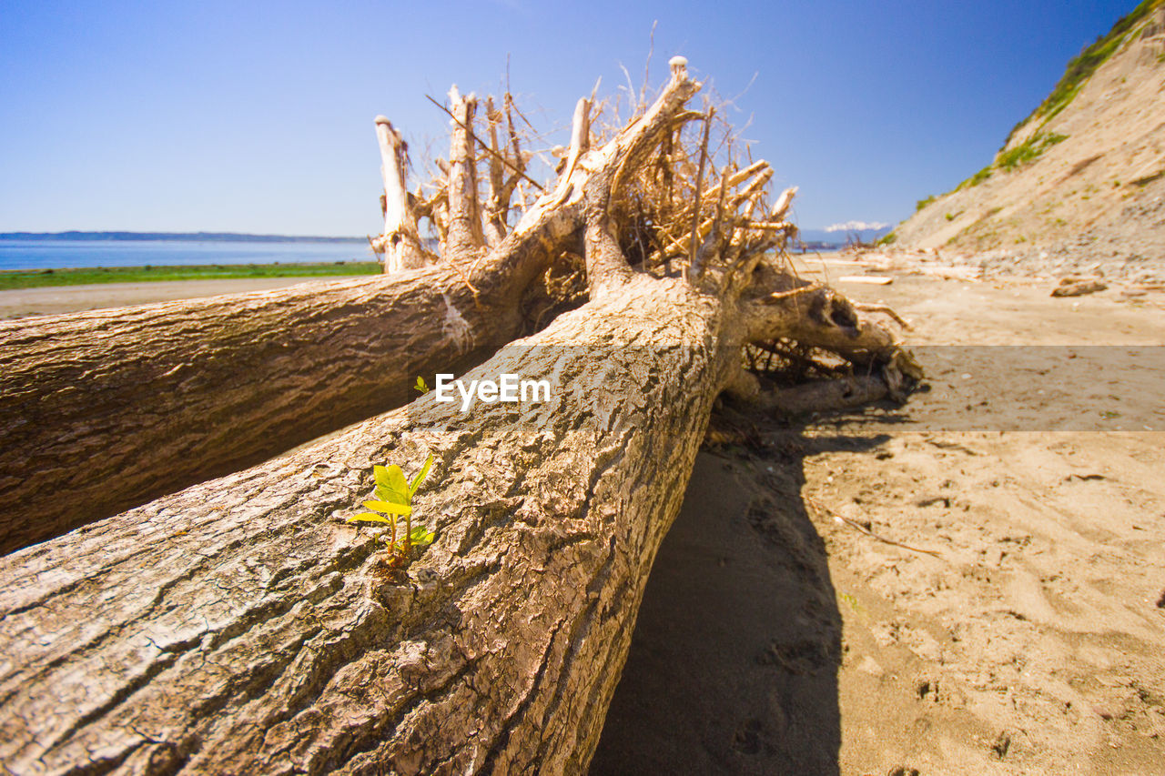 View of beach against blue sky