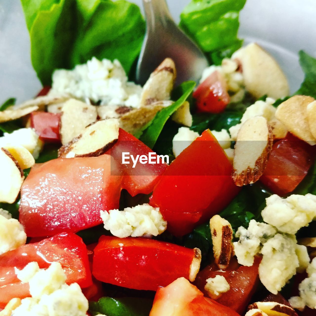 CLOSE-UP OF SALAD IN TRAY