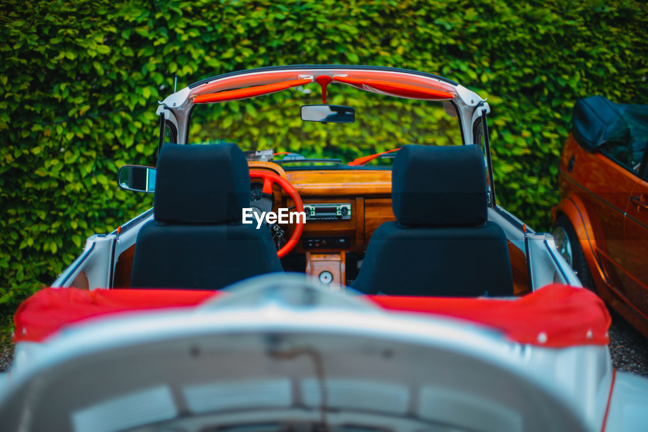 Close-up of car against plants