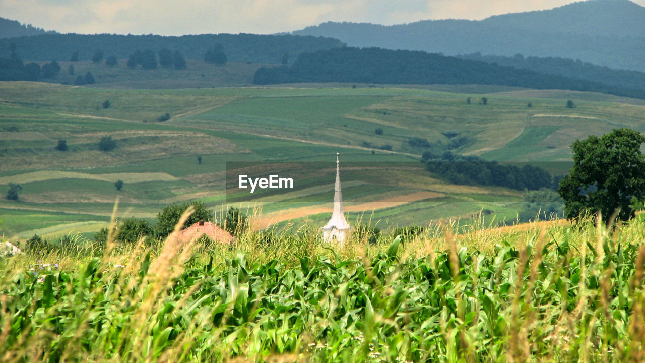 High angle view of agricultural field