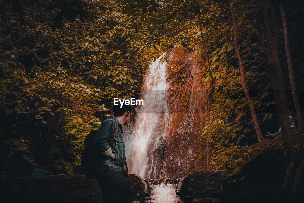 Young man looking at waterfall while standing in forest
